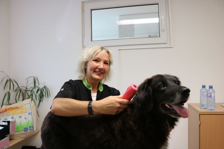 Margit Schönauer bei der Arbeit. (Bild: FSW)